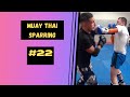 Muay thai sparring22muaythai sparring training kickboxing fight zen boxing boxer