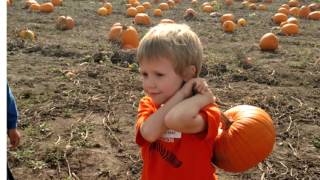 Ms. Barto's 2015 Pumpkin patch field trip