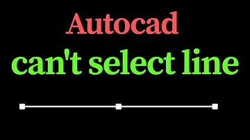 Autocad can