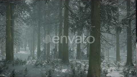 Winter Snow-covered Forest on a Cloudy Day | Motion Graphics - Envato elements