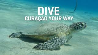 Fundiving Curaçao - 2026 Readers Choice Awards