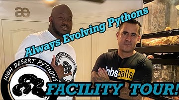 Always Evolving Pythons Facility Tour + New Snake Pickup! | High Desert Pythons