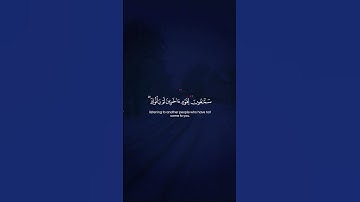 Surah Al-Maidah 041 سورة المائدة #quraniv #quran