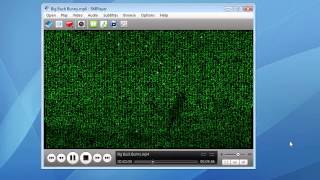 Matrix View in SMPlayer screenshot 4