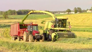 2019 Rye Chopping Time with a  Krone Big X 700