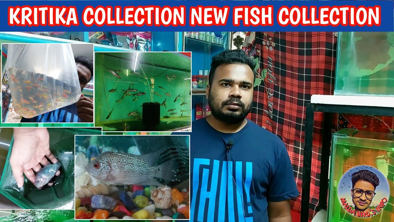 Kritika collection new fish collection || 