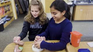 Toledo's Only Accredited Montessori Upper Elementary Program