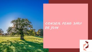 Conseil Feng shui de juin