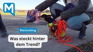 Mantrailing: Training for insecure dogs