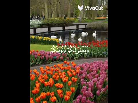 وكان عند الله وجيها محمد اللحيدان تصميمي القرآن الكريم تصميمي