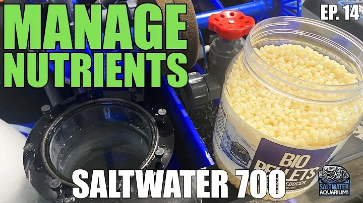 MANAGING Nutrients, Nitrates, Phosphates, In Your Tank For The Long-Term - Saltwater 700