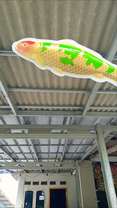 it's not a plane but a flying fish #shorts #funny #comedy