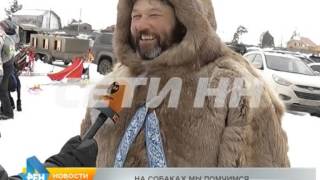 Собаки не только лучшие друзья человека, но еще и самые быстрые Собаки не только лучшие друзья человека, но еще и самые быстрые