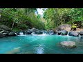 Tranquil River Flow, Relaxing Water Sounds for Sleep &amp; Meditation | 10 Hours Nature ASMR