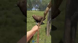 ДОБЫЧА МЕДВЕДЯ #rust #rustshorts #gaming