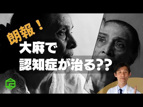 朗報！大麻で認知症が治る？？