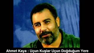 AHMET KAYA : UÇUN KUŞLAR UÇUN DOĞDUĞUM YERE