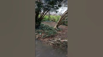 map2earn merge.southeast.sudden overthereality