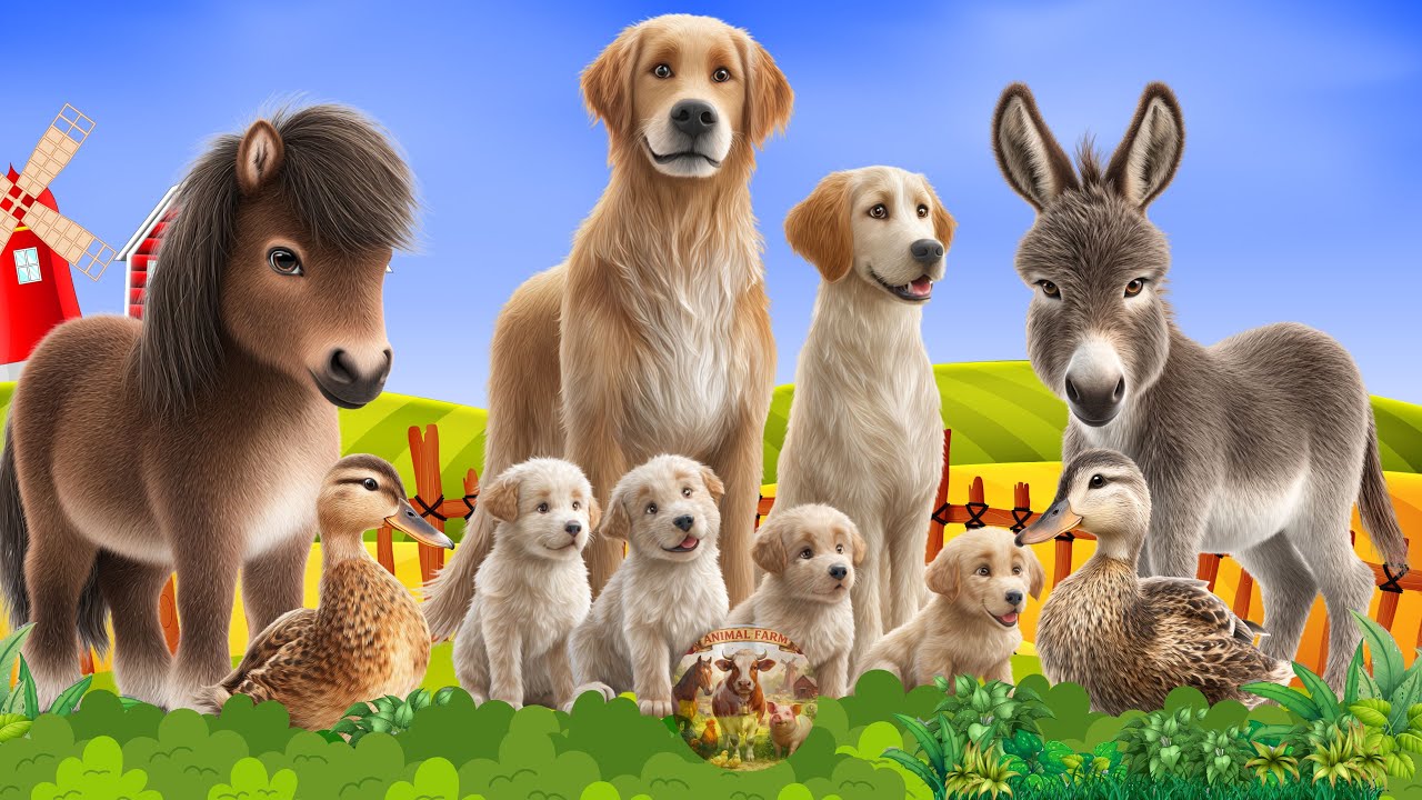 Звуки милых сельскохозяйственных животных: щенок, осёл, утёнок, цыплёнок... – Счастливые животные