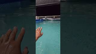 #intexpool #intex #poolaccessories #swimingpool #summertime #2026video #pinoyblogger #filters