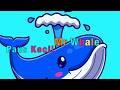 Paus Kecil - Lagu Anak Anak Kids Songs | Super Simple + More Nursery Rhymes  - Mr Whale Story Time