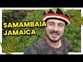 SAMAMBAIA JAMAICA - Dicas e como cuidar