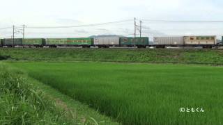 東海道本線　大垣　－　柏原　2011/07撮影　EF210