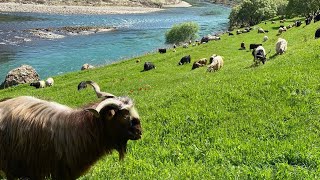 hezex idil yarbaşi köyü hespist Azech cehnem deresi Esfes dicle nehri Mezopotamya Tigris Resimi