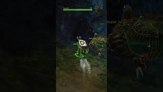 Aider Cesseilia à défendre et à explorer l'Oasis #gaming #twitch #gw2 #guildwars2 #pve