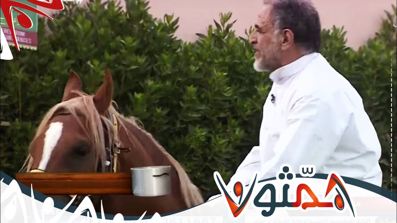 أمور لابد تسويها أول مرة تركب خيل مع أسطورة العسف  محمد الحقيل | #همثون61