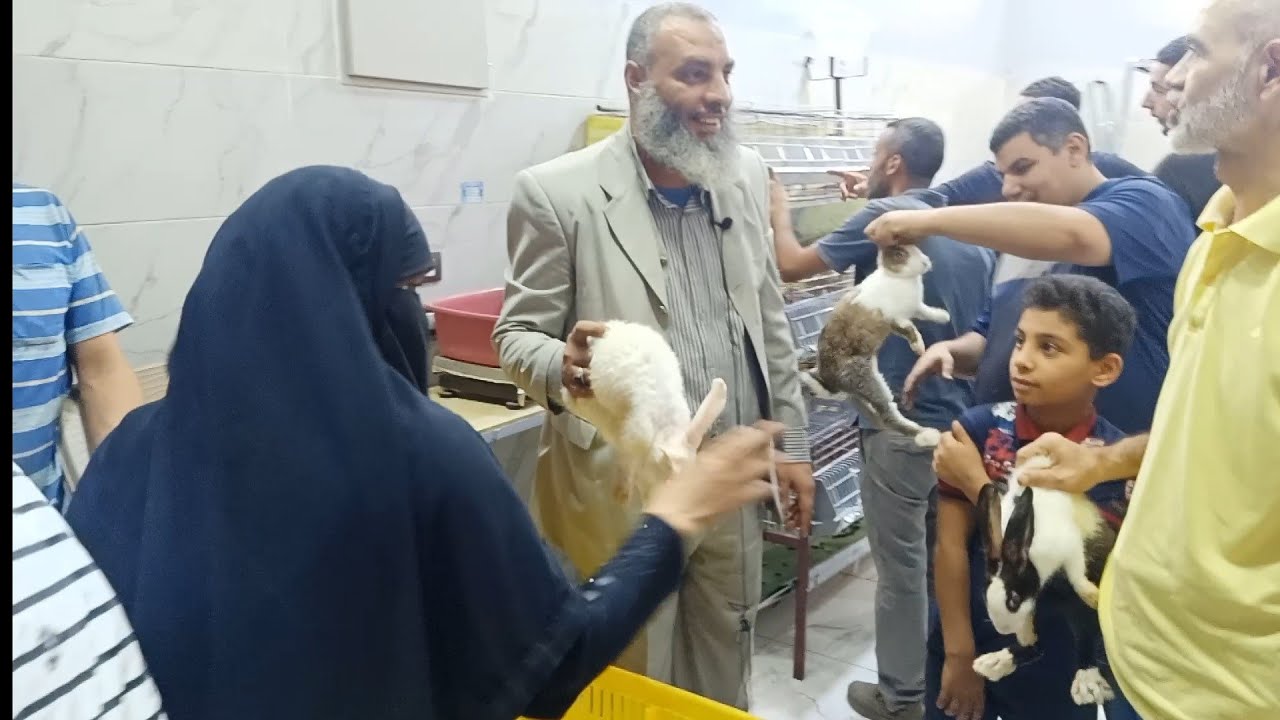 الارانب ببلاش عند الحاج صلاح وكمان عنده علف النانو تكنولوجي