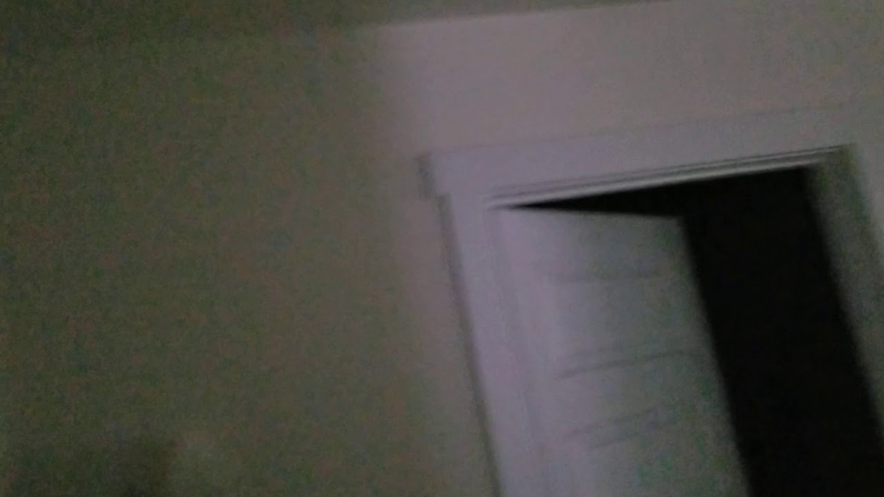 Progressives' Reaction To Bloomberg Dropping Out/Endorsing Joe Biden; Elizabeth Warren Stays In Race