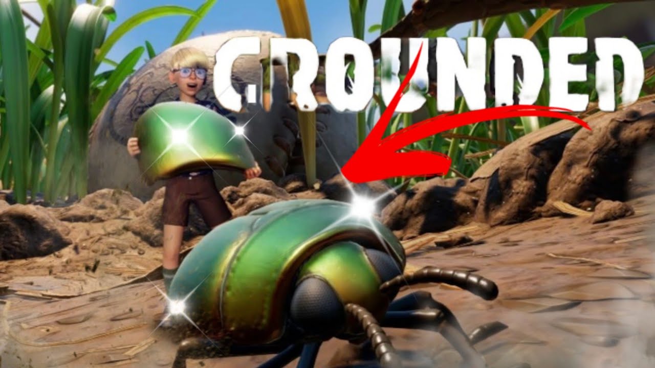 Grounded 🐝: Skarabäus Käfer finden - YouTube