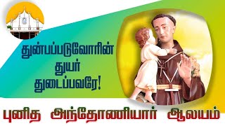 LIVE - 21-05-2024 | Tuesday Special Mass | Aatupatti St.Antony's Church, Puducherry | Mercy TV