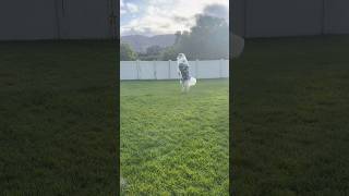 Face out and jump! Halo got it!