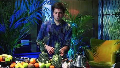 Luksek live with fruits and Playtron