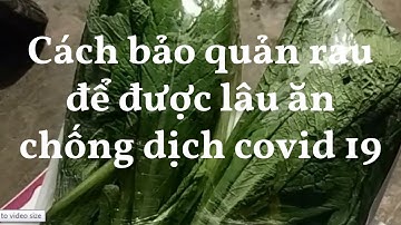 Cách Bảo Quản Rau Để Được Lâu Ăn Chống Dịch Covid 19 | Hồng Ly TV #15