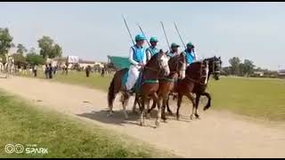 Download Lagu Horse \u0026 Cattle Show Lahore MP3 Download Lagu Horse \u0026 Cattle Show Lahore MP3