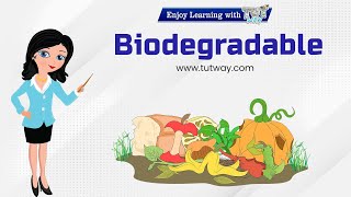 Biodegradable Waste | Biodegradable Waste & Non-Biodegradable Waste | Waste Management | Science