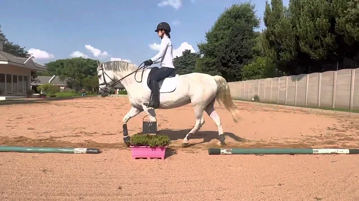 Shelly Dixon E-Riders Dec 2022