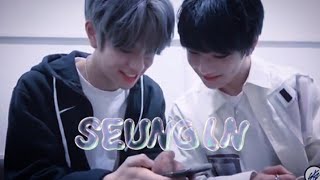 Ghost [Seungmin's cover] seungin FMV