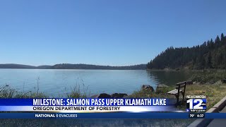 Salmon reach new milestone one year after dam removals