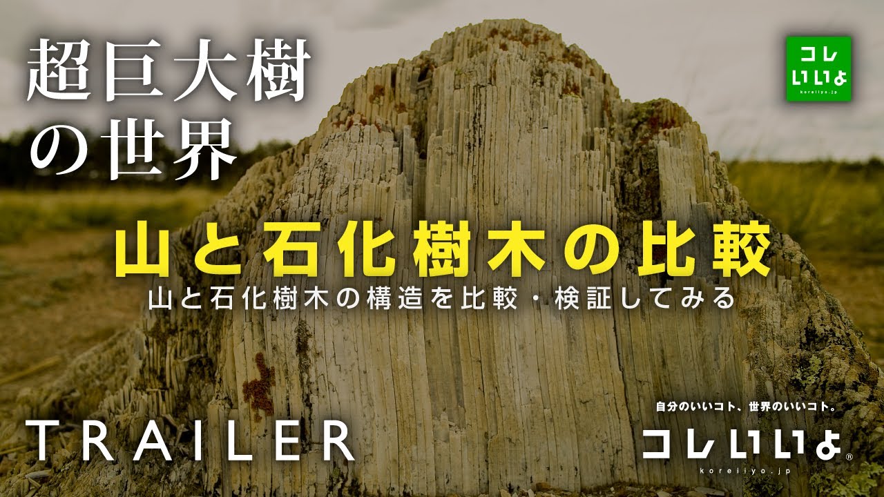 『超巨大樹の世界・予告』巨大な山と石化した樹木の比較(大小比較) コレいいよ.JP - YouTube