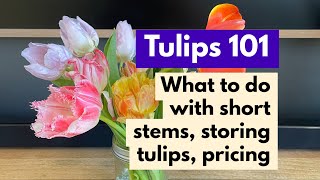 Tulips 101: What to do with short stems, storing tulips, pricing