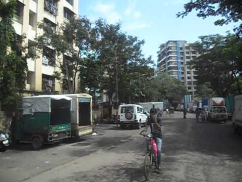Lotus Sky Gardens video 2