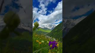 Beautiful Spring Nature🌍🌿#SpringArt #SpringNature #NaturePainting #FlowerArt #DrawingShorts