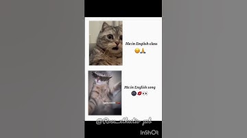 No caption needed😅 #music