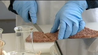 Now Nestle discovers horsemeat in beef meals