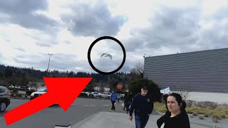 Dragons Caught In Camera Are They Hiding From World To Survive??