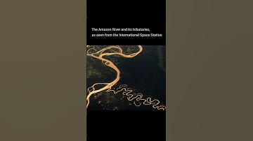 The Amazon River at Surise - From SPACE  💚 #shorts #space #earth